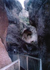 Cat Walk Near Glenwood, NM